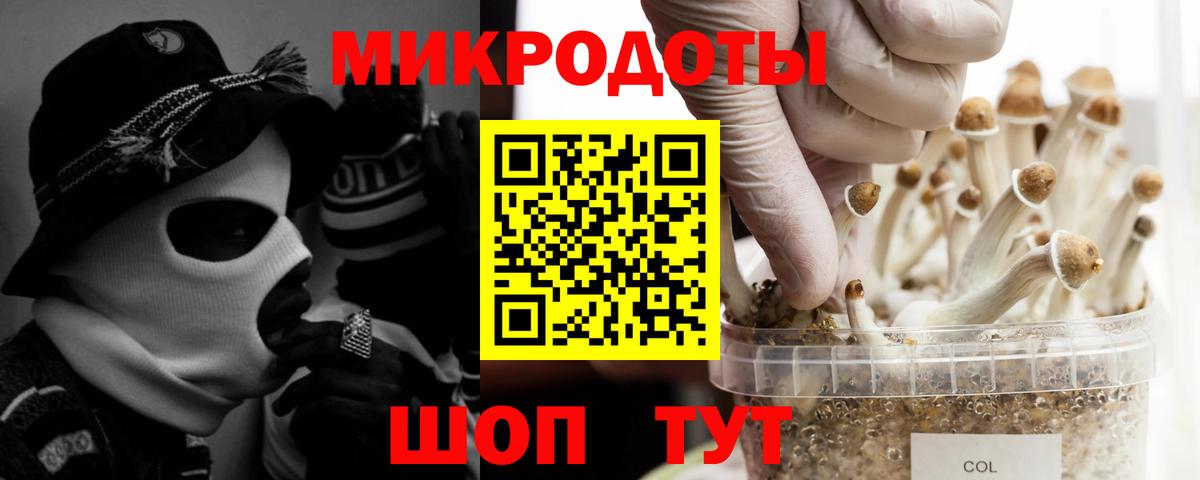 Псилоцибиновые грибы Cubensis  Вход с VPN  Саяногорск  Галлюциногенные грибы мухоморы 