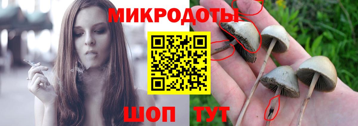 Галлюциногенные грибы мухоморы Саяногорск
